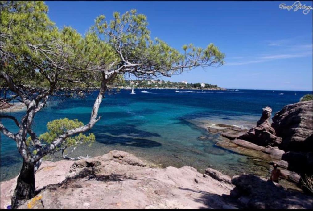 Chaleureux Appartement Face Au Port Sta Lucia, Tout A Pieds, Wifi Saint-Raphael  Exterior photo